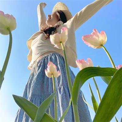 科搜研之女第23季