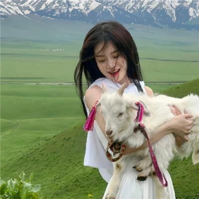狐妖小红娘日语版
